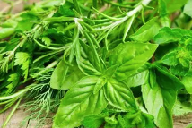 今天，我們?nèi)绾斡H近野菜縮略圖