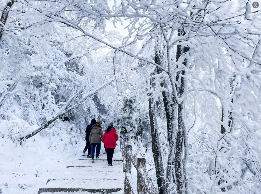 2024漢江源冰雪旅游季抖音大賽等你來挑戰(zhàn)！