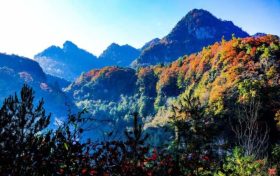 草川子生態(tài)康養(yǎng)旅游度假區(qū)今日恢復(fù)開(kāi)園，正常接待游客縮略圖
