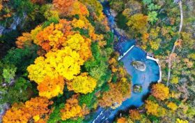2025漢中黎坪紅葉季10月15日盛大啟幕！18日、19日免門票！縮略圖